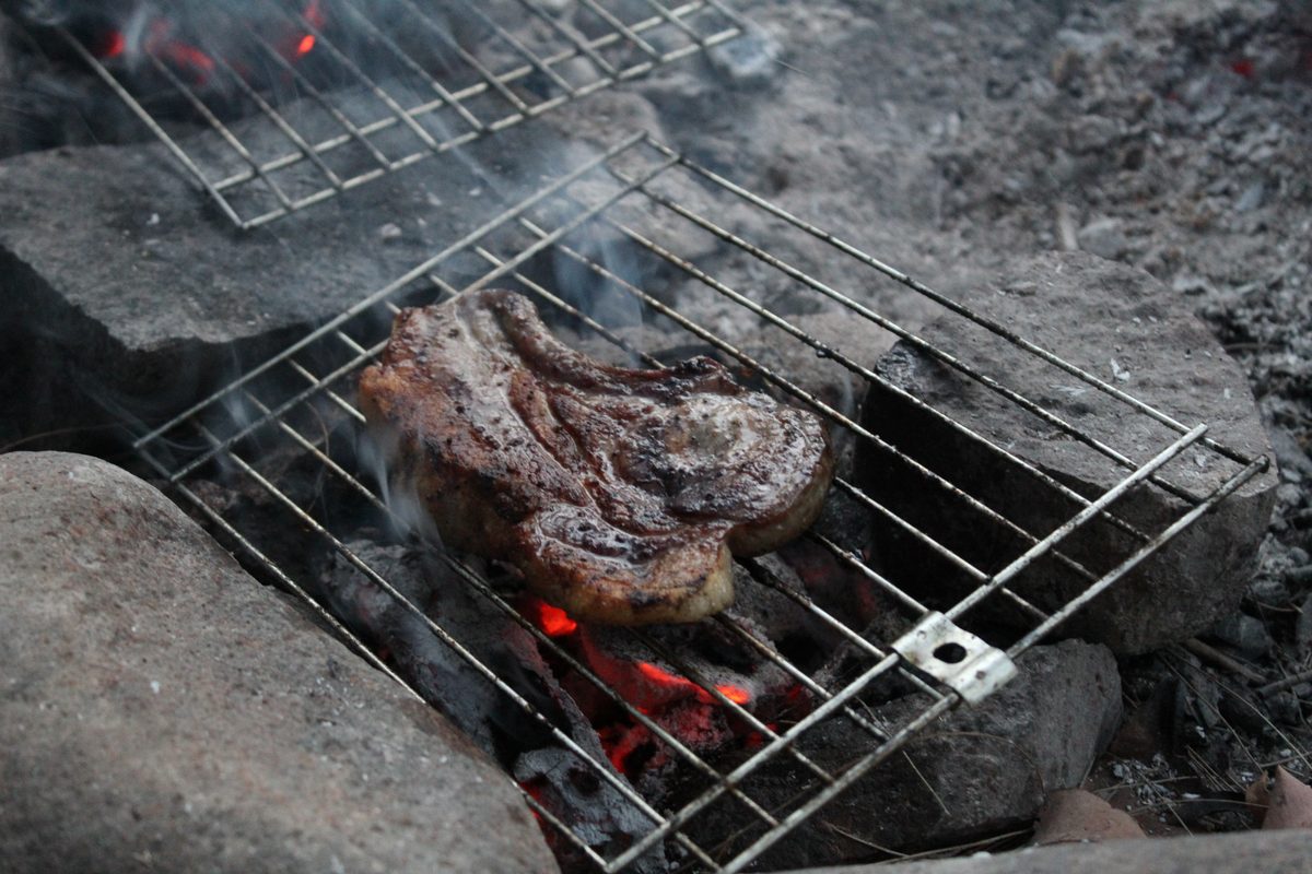 Canvas tents and fire drums set beneath tall gums near Eidsvold.