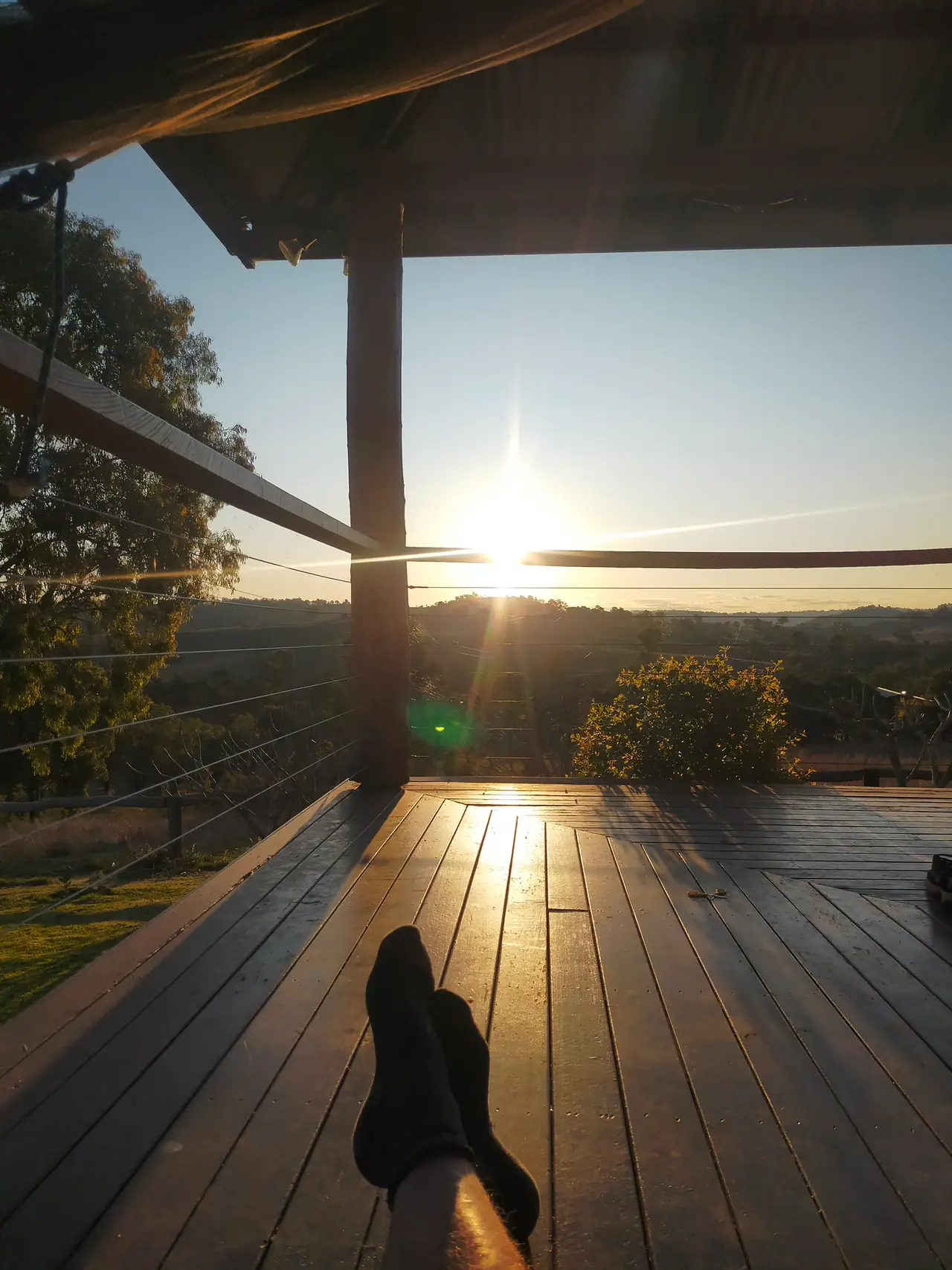 Golden hour light over rolling North Burnett paddocks with gum trees silhouetted against the sky.
