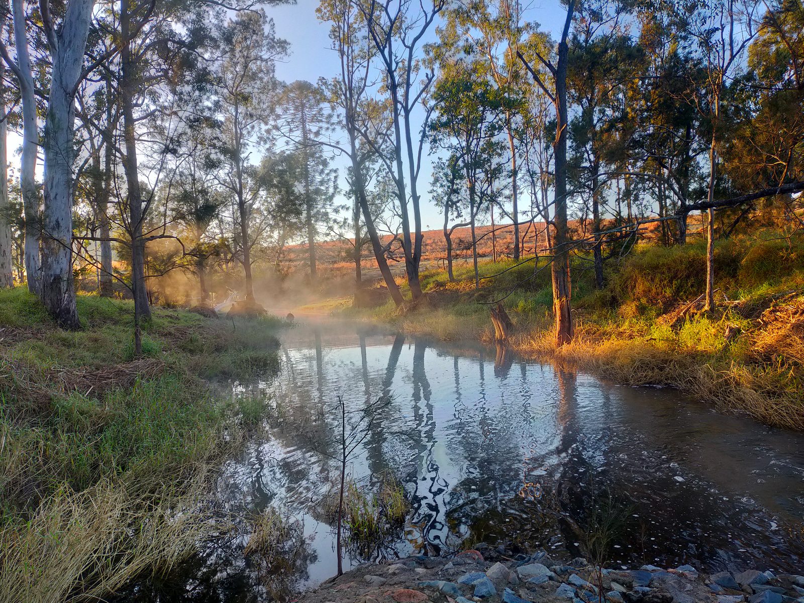 Sunrise over rolling ranges near Mount Perry.